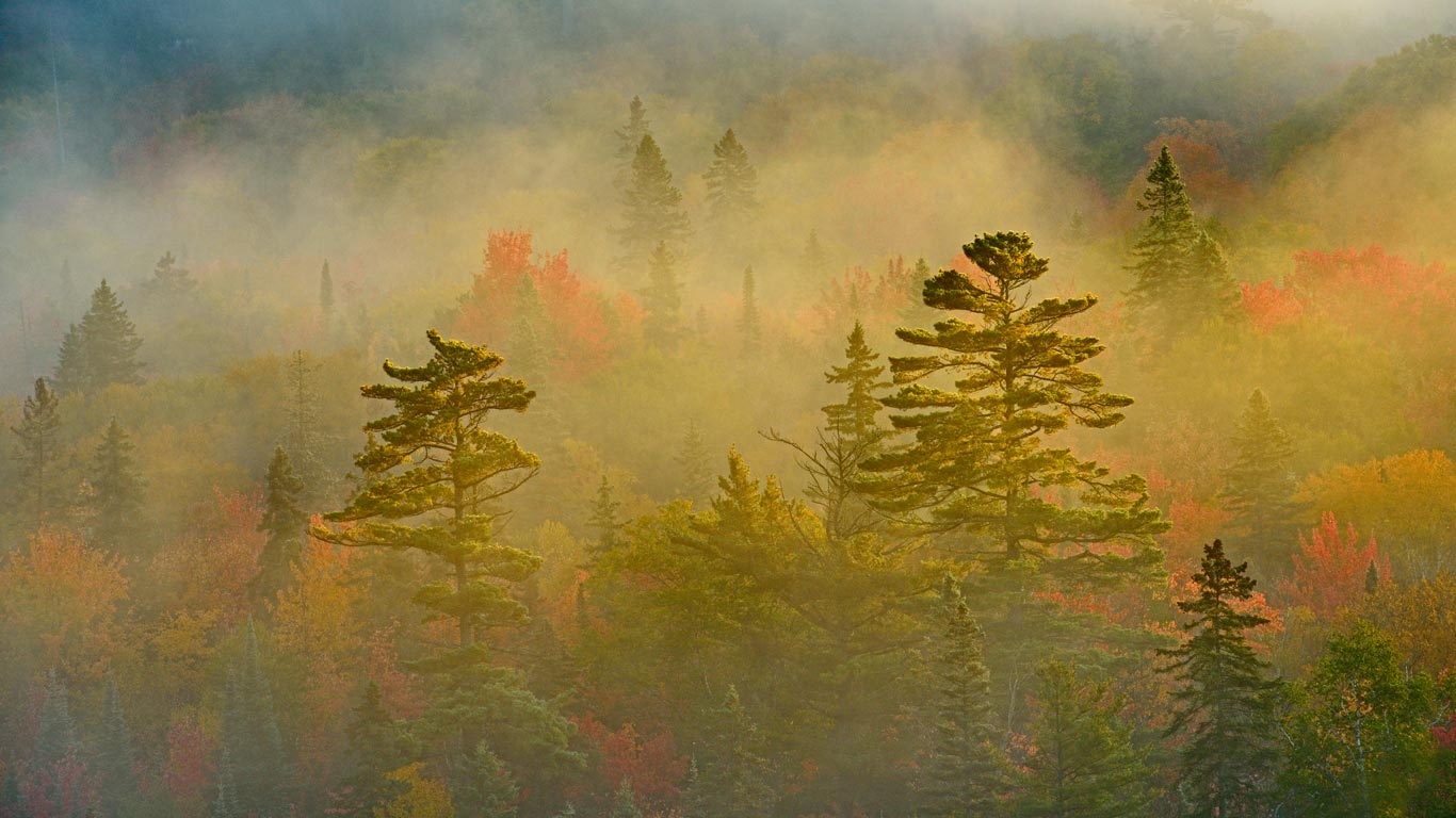 1448103600.jpg